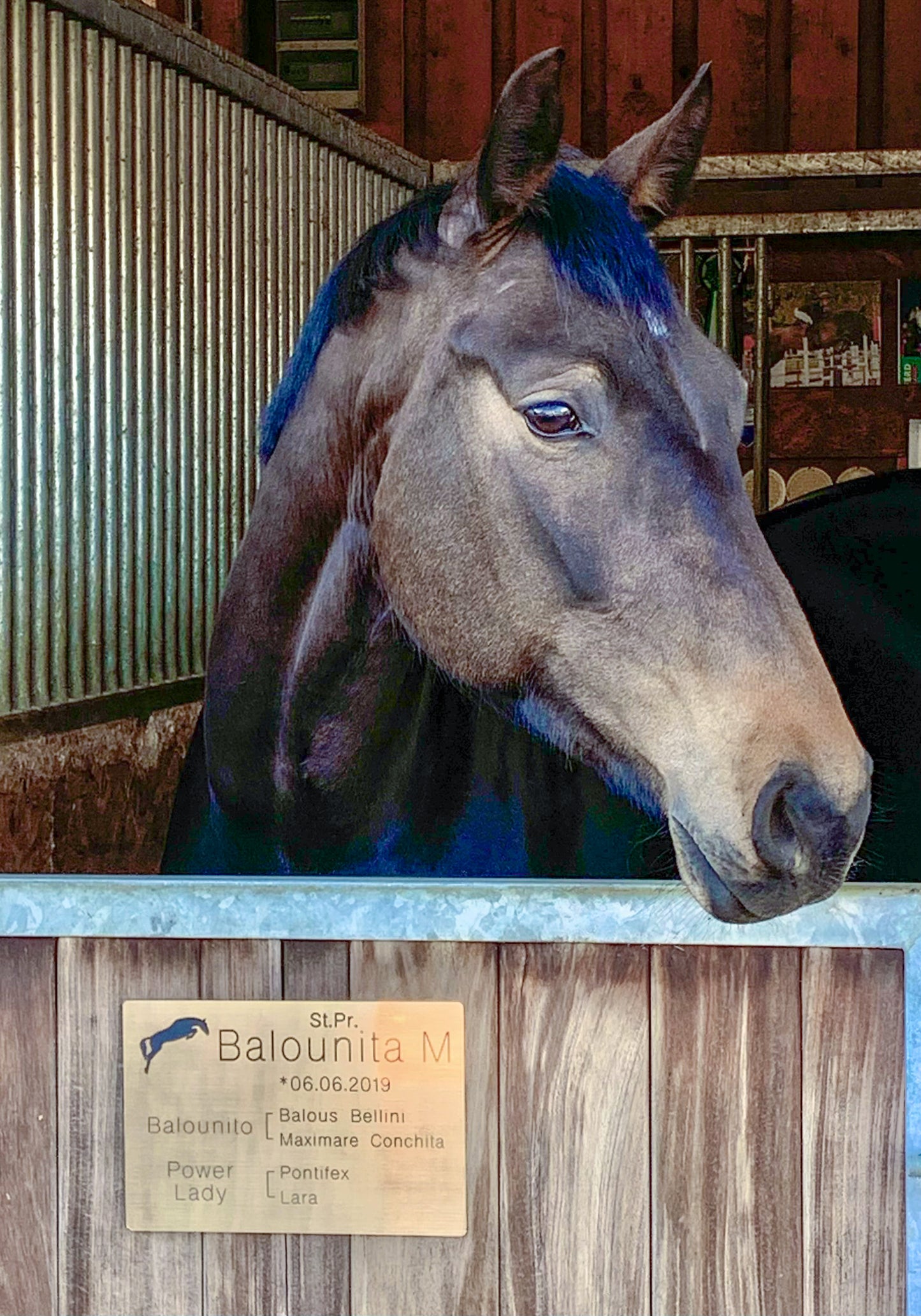 Stallschild Kunststoff Textvariante 1